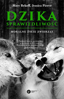 Dzika sprawiedliwość